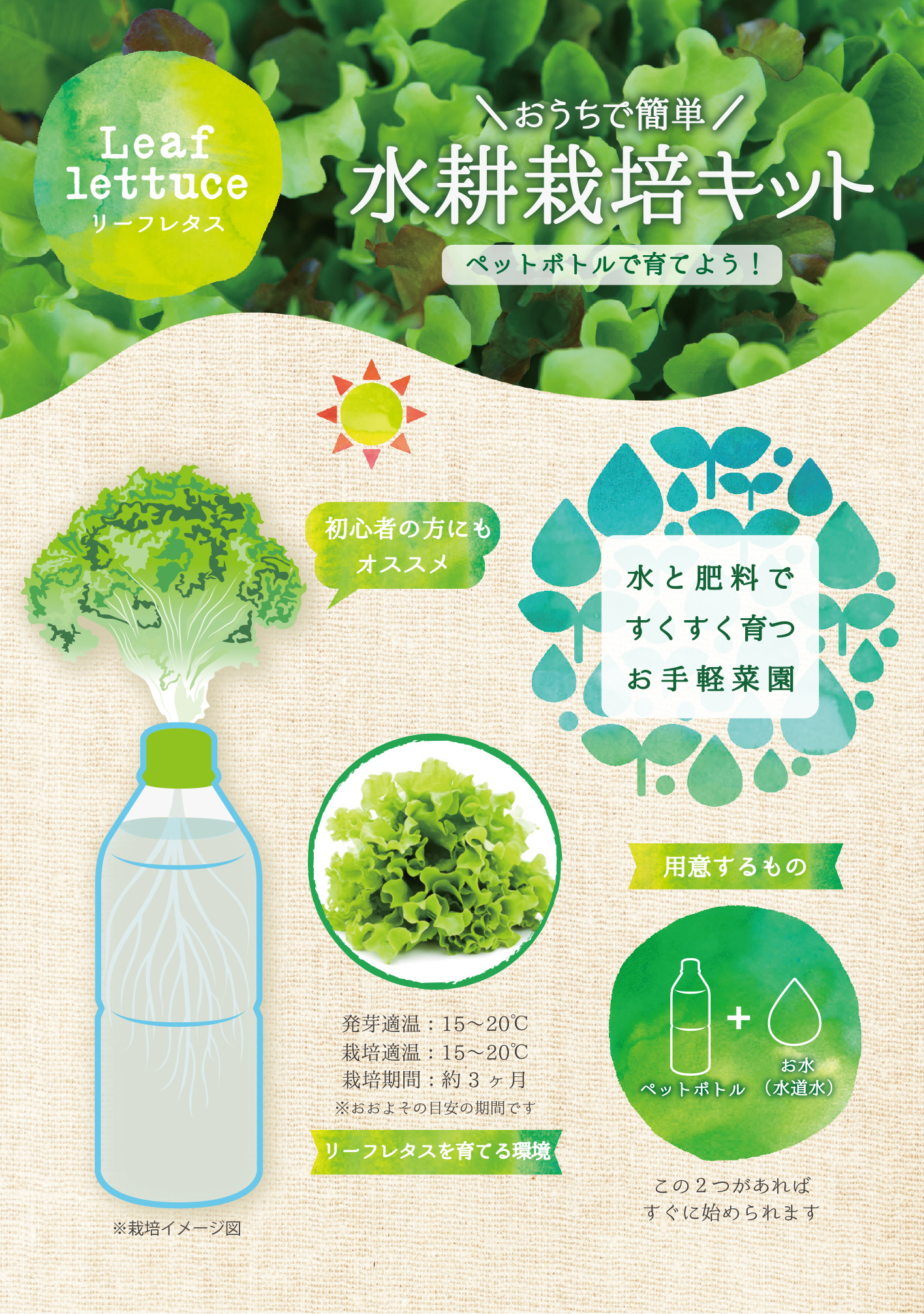 ペットボトル水耕キット Anzenオンラインストア
